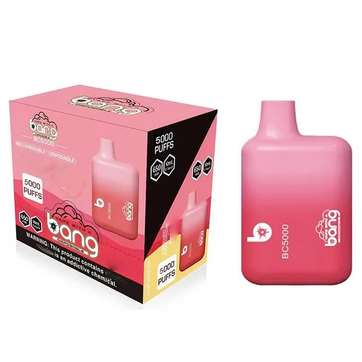 बैंग बीसी 5000