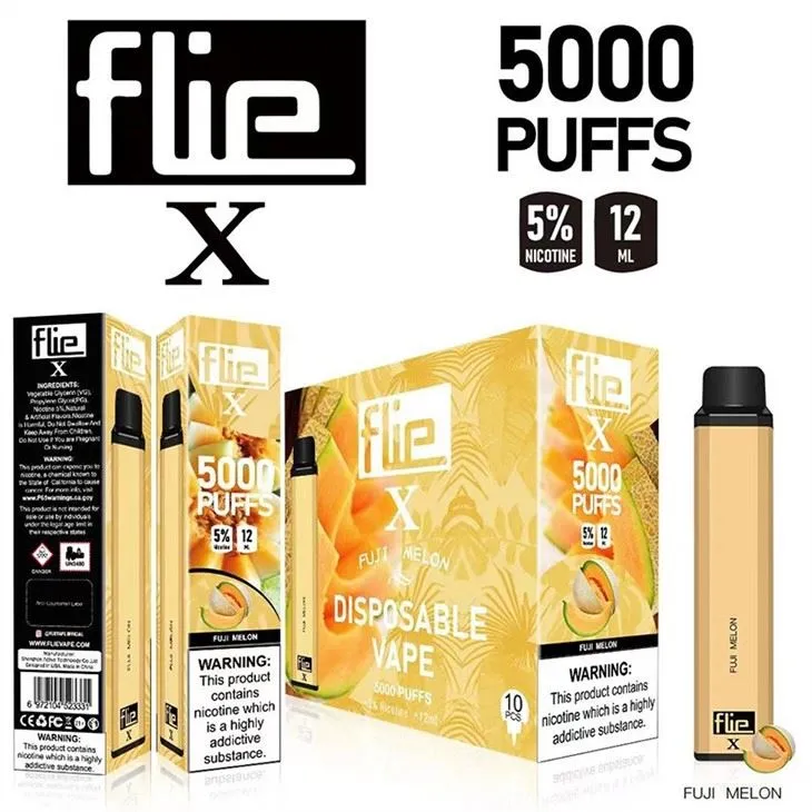 Flie X 5000 electronic cigarette disposable vape 2