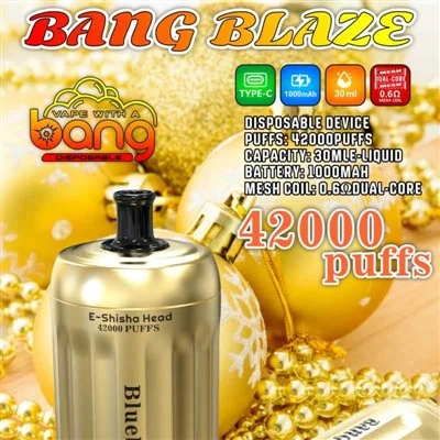 बैंग ब्लेज़ ई-शिशा हेड 42000 पफ्स